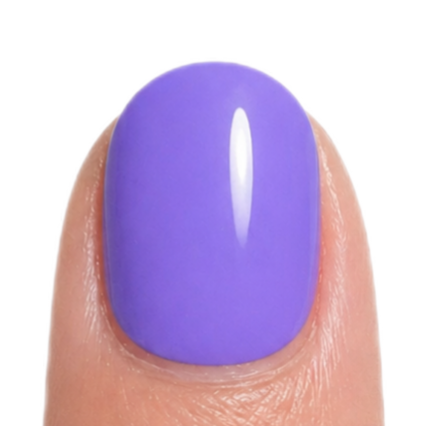 Wild Lilac