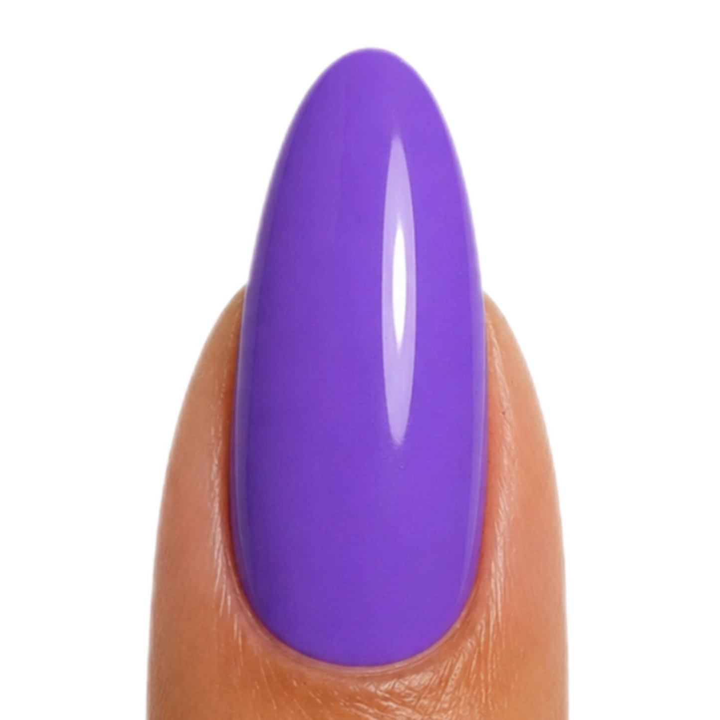 Purple'ology