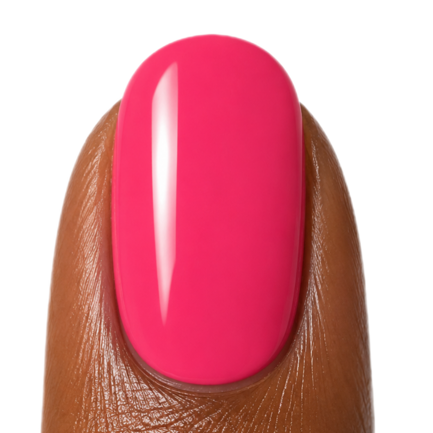 Desert Coral
