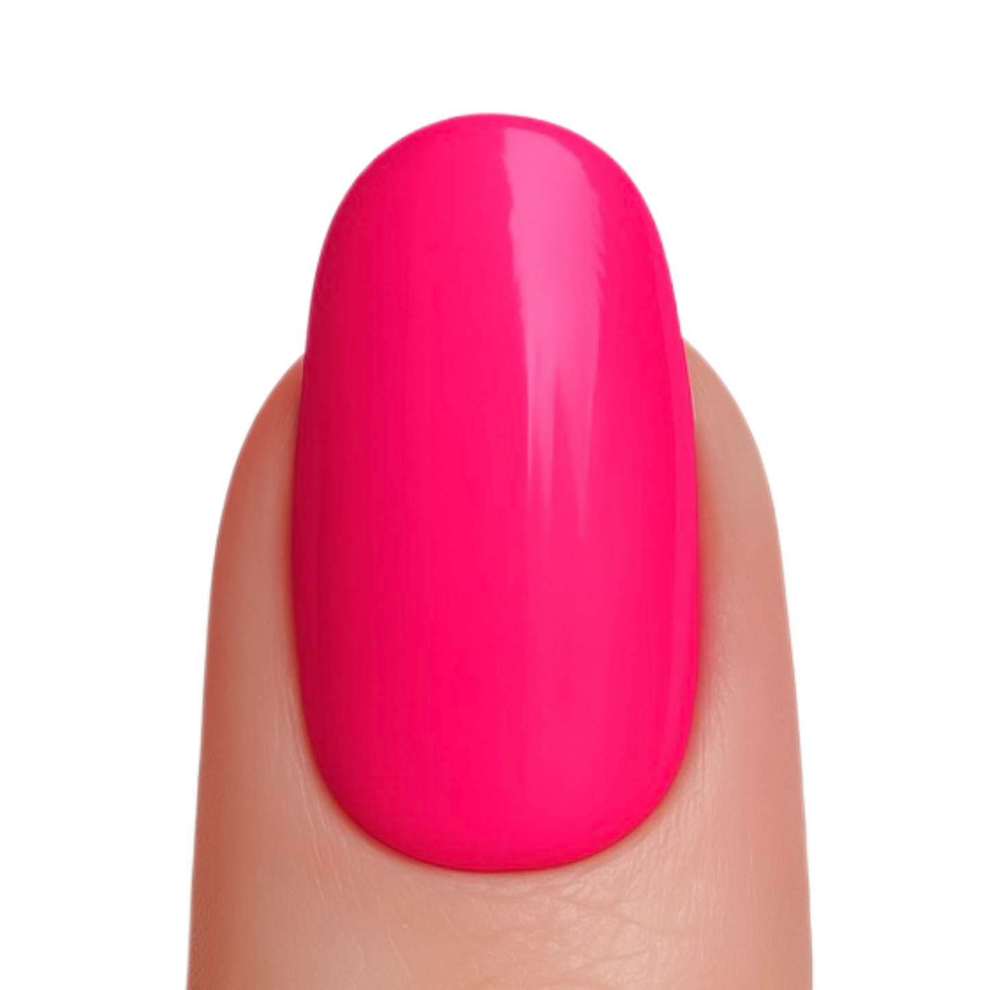 Ice Cream Collection