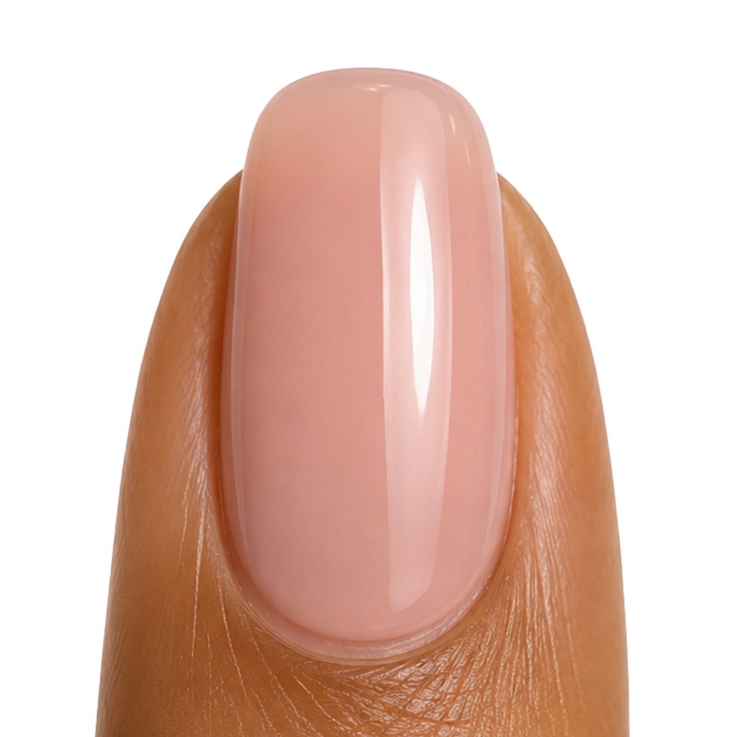 French Sheer Nude | French Connection